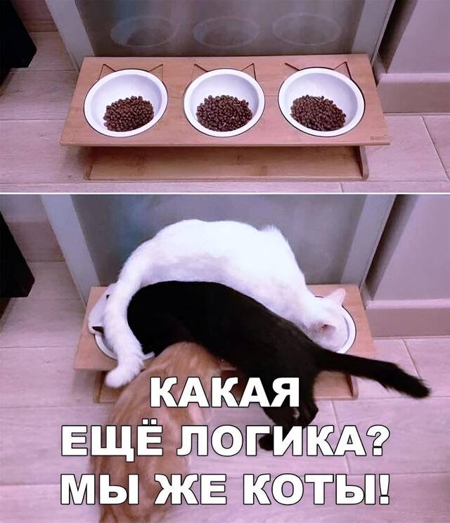 https://upforme.ru/uploads/0009/61/87/229/712325.jpg