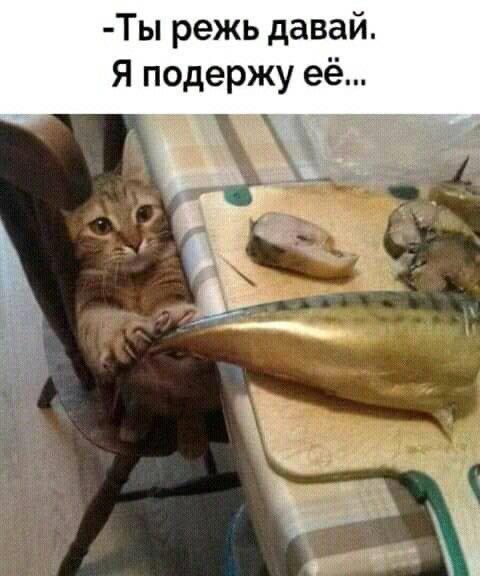 https://upforme.ru/uploads/0009/61/87/229/729637.jpg