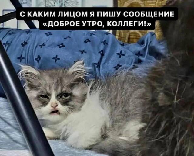 https://upforme.ru/uploads/0009/61/87/229/729663.jpg