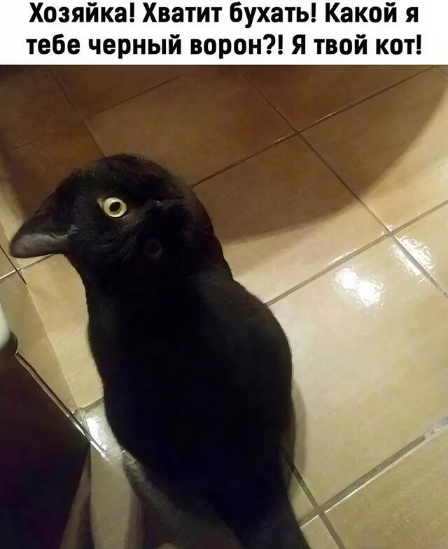 https://upforme.ru/uploads/0009/61/87/229/755818.jpg