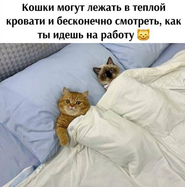 https://upforme.ru/uploads/0009/61/87/229/758003.jpg