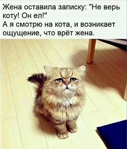 https://upforme.ru/uploads/0009/61/87/229/76909.jpg