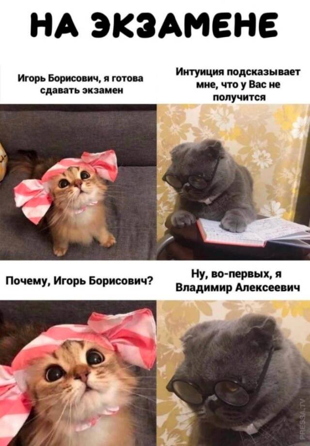 https://upforme.ru/uploads/0009/61/87/229/773586.jpg