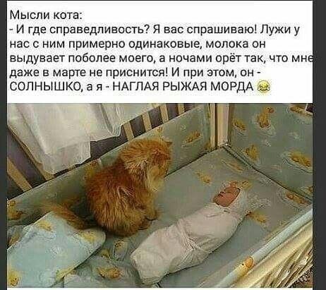 https://upforme.ru/uploads/0009/61/87/229/783812.jpg