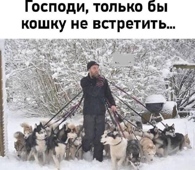 https://upforme.ru/uploads/0009/61/87/229/789638.jpg