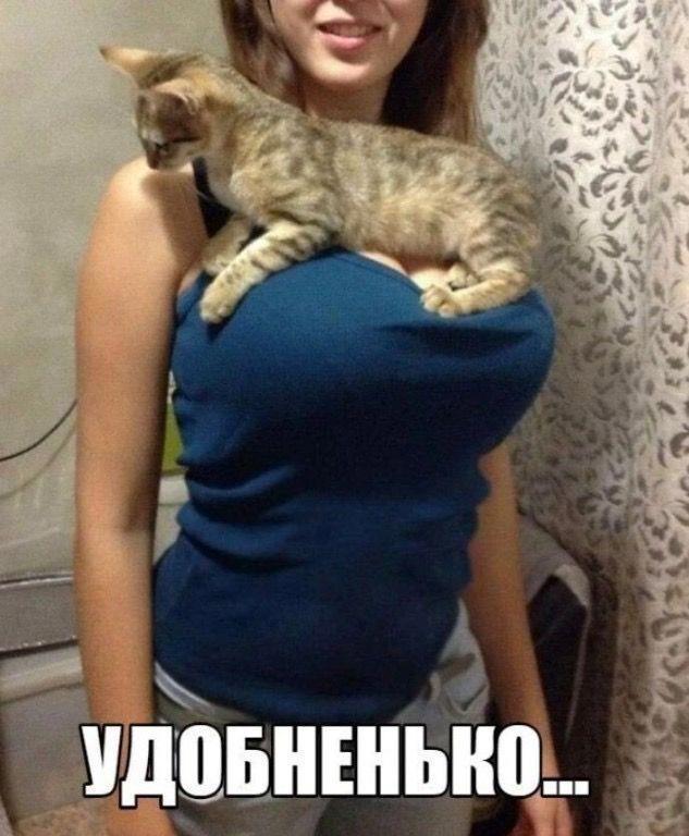 https://upforme.ru/uploads/0009/61/87/229/797455.jpg