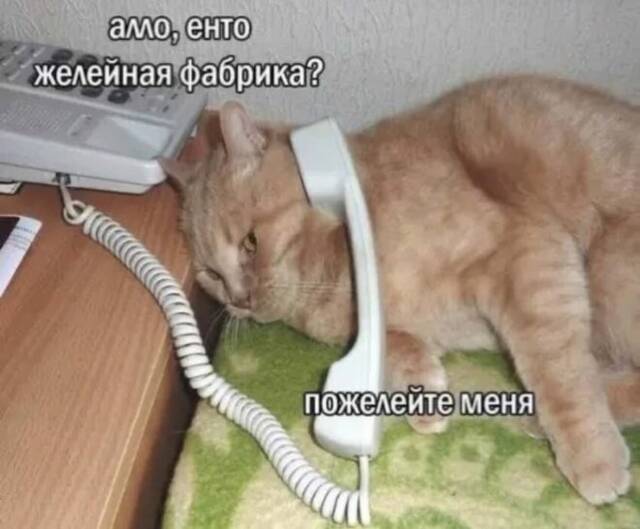 https://upforme.ru/uploads/0009/61/87/229/80906.jpg