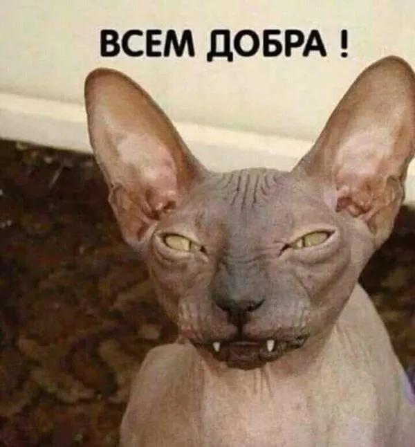 https://upforme.ru/uploads/0009/61/87/229/81231.jpg