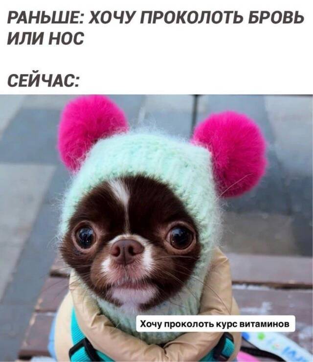 https://upforme.ru/uploads/0009/61/87/229/817999.jpg