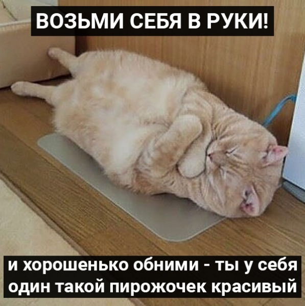 https://upforme.ru/uploads/0009/61/87/229/833651.png