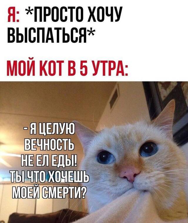 https://upforme.ru/uploads/0009/61/87/229/852249.jpg