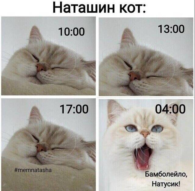 https://upforme.ru/uploads/0009/61/87/229/855125.jpg