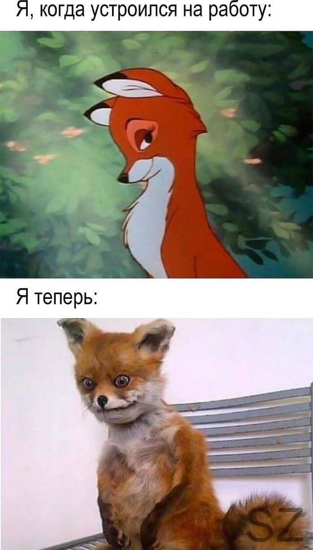 https://upforme.ru/uploads/0009/61/87/229/86840.jpg