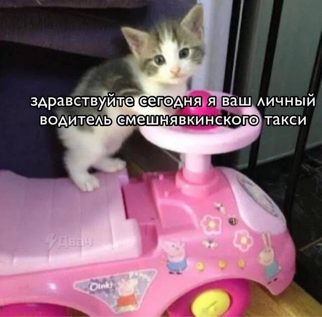 https://upforme.ru/uploads/0009/61/87/229/888319.jpg