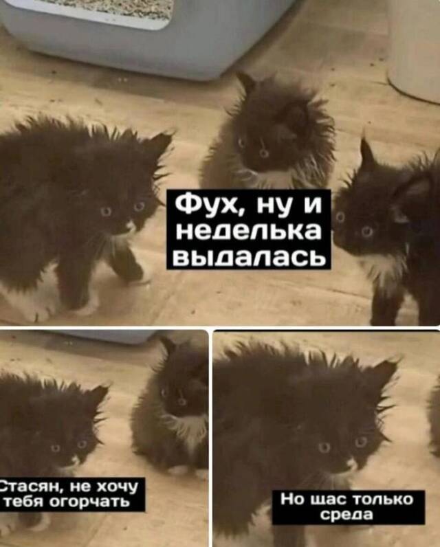 https://upforme.ru/uploads/0009/61/87/229/896275.jpg