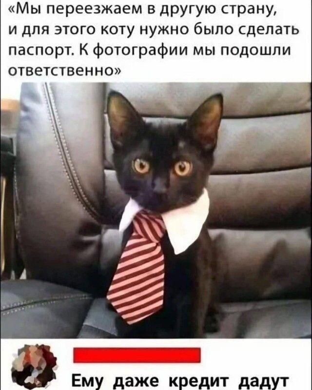 https://upforme.ru/uploads/0009/61/87/229/906927.jpg