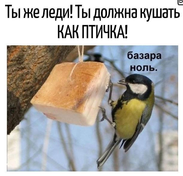https://upforme.ru/uploads/0009/61/87/229/923210.jpg
