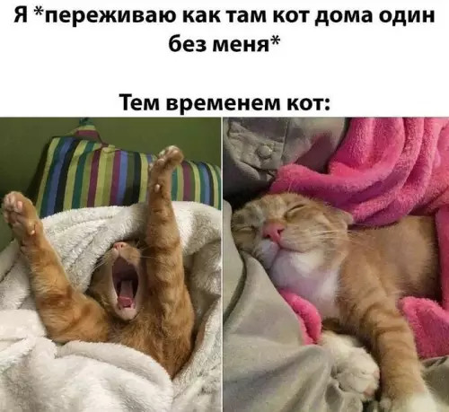 https://upforme.ru/uploads/0009/61/87/229/924700.webp