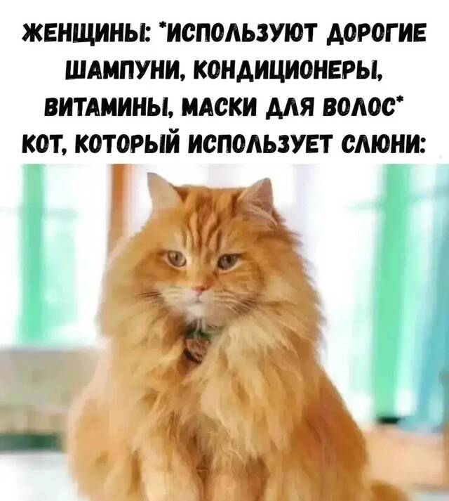 https://upforme.ru/uploads/0009/61/87/229/932520.jpg