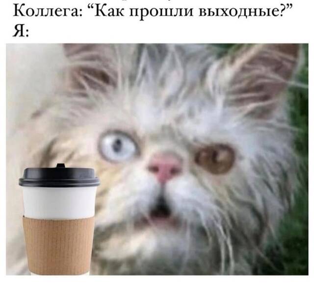 https://upforme.ru/uploads/0009/61/87/229/941228.jpg