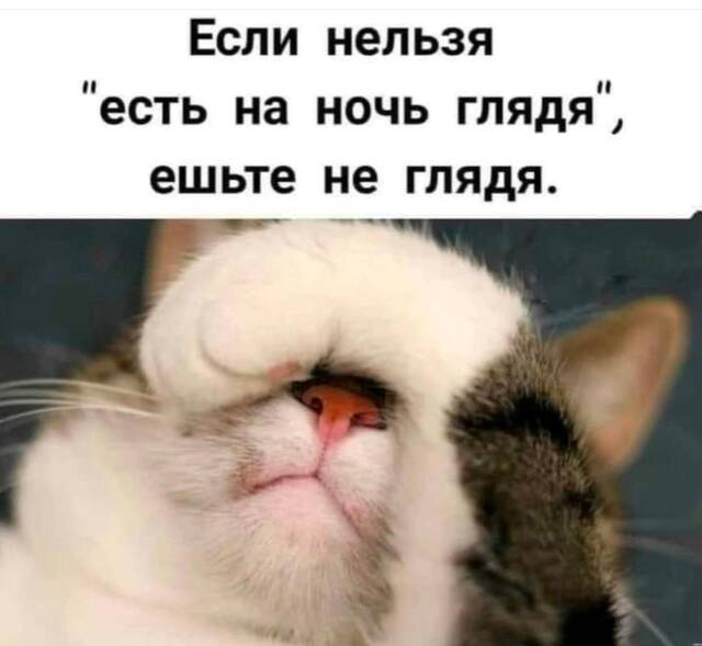 https://upforme.ru/uploads/0009/61/87/229/941448.jpg