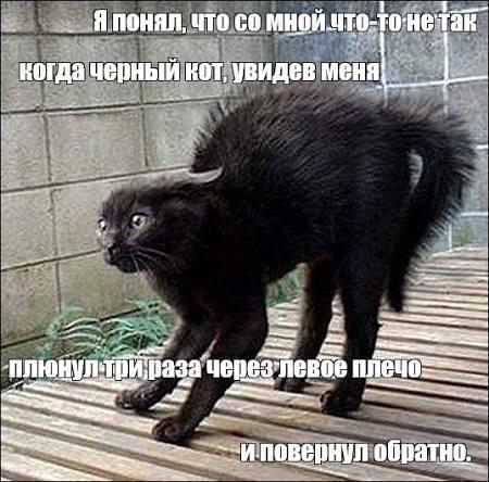 https://upforme.ru/uploads/0009/61/87/229/994901.jpg