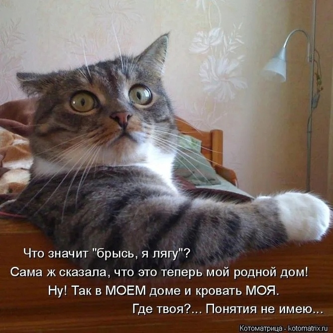 https://upforme.ru/uploads/0009/61/87/230/163550.jpg