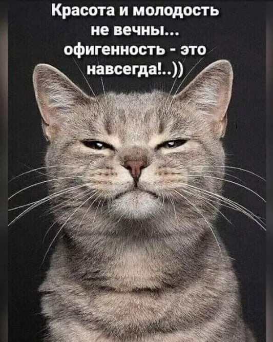 https://upforme.ru/uploads/0009/61/87/230/371163.jpg