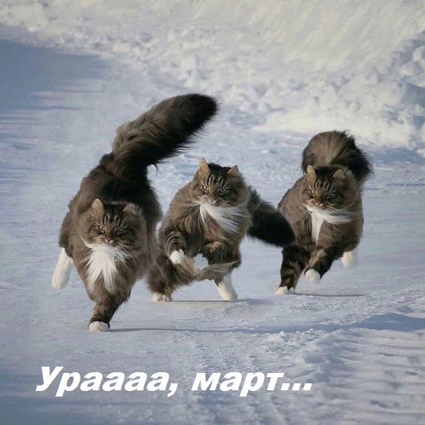 https://upforme.ru/uploads/0009/61/87/230/572053.jpg