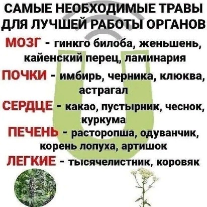 https://upforme.ru/uploads/0009/61/87/230/588477.jpg