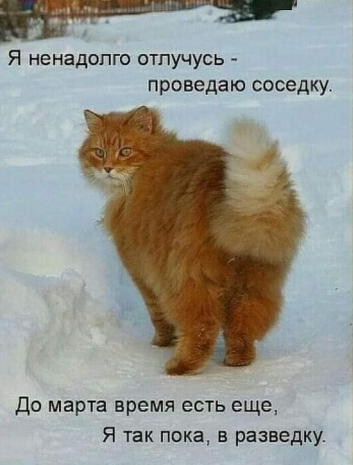 https://upforme.ru/uploads/0009/61/87/230/645834.jpg