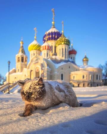 https://upforme.ru/uploads/0009/61/87/230/t172472.jpg