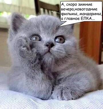 https://upforme.ru/uploads/0009/61/87/230/t248817.jpg
