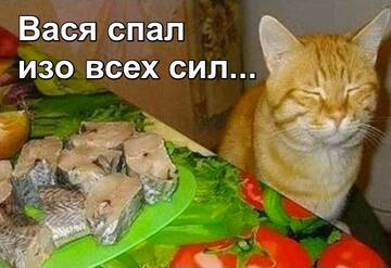 https://upforme.ru/uploads/0009/61/87/230/t329170.jpg