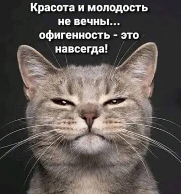 https://upforme.ru/uploads/0009/61/87/230/t598453.jpg
