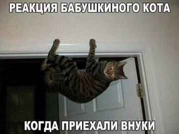 https://upforme.ru/uploads/0009/61/87/230/t724652.jpg