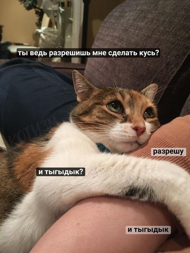 https://upforme.ru/uploads/0009/61/87/604/721448.jpg