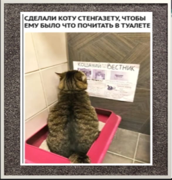 https://upforme.ru/uploads/0009/61/87/604/726286.jpg