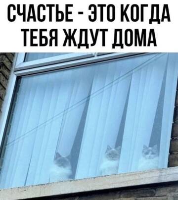 https://upforme.ru/uploads/0009/61/87/604/t195256.jpg
