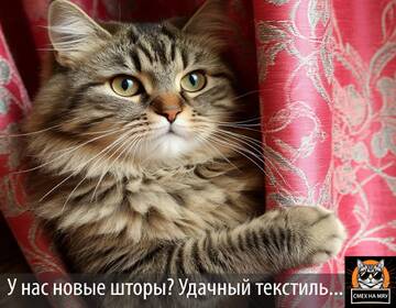 https://upforme.ru/uploads/0009/61/87/604/t43699.jpg