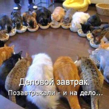 https://upforme.ru/uploads/0009/61/87/604/t904139.jpg