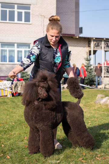 https://upforme.ru/uploads/0009/64/d6/2/t596526.jpg