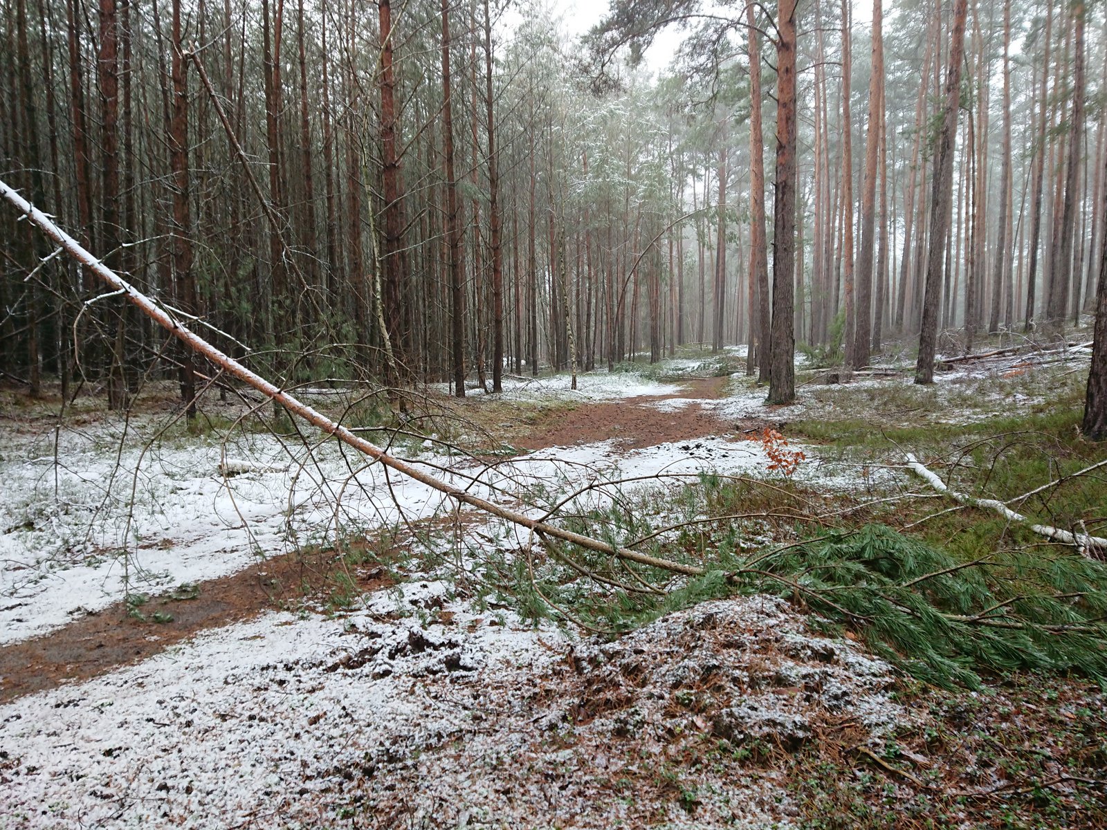 https://upforme.ru/uploads/0009/6c/04/1355/292234.jpg