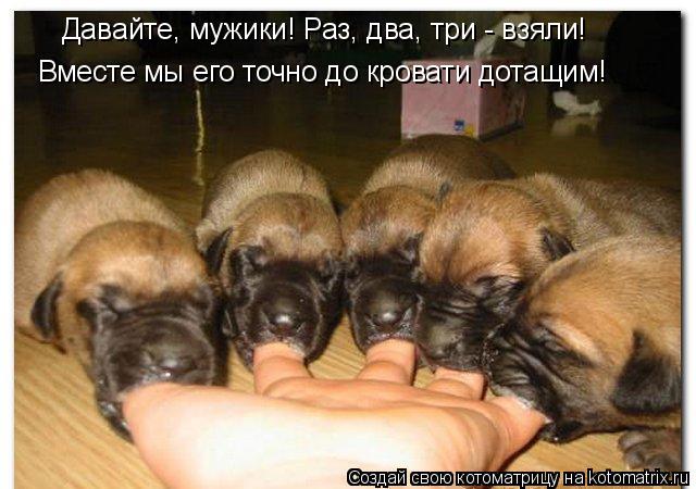 https://upforme.ru/uploads/0009/71/10/42-5-f.jpg