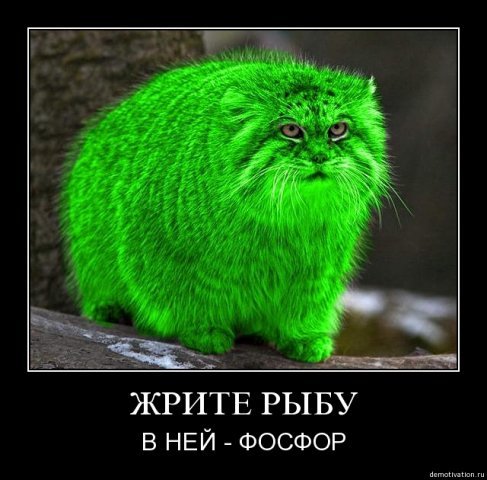 https://upforme.ru/uploads/0009/d3/0d/3025-1-f.jpg