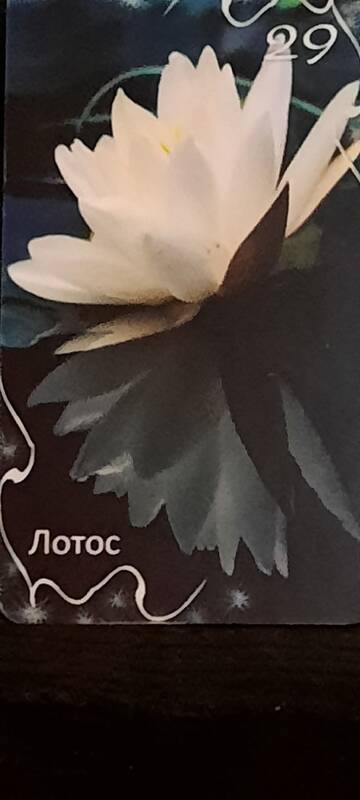 https://upforme.ru/uploads/000a/0c/a8/1466/t507101.jpg