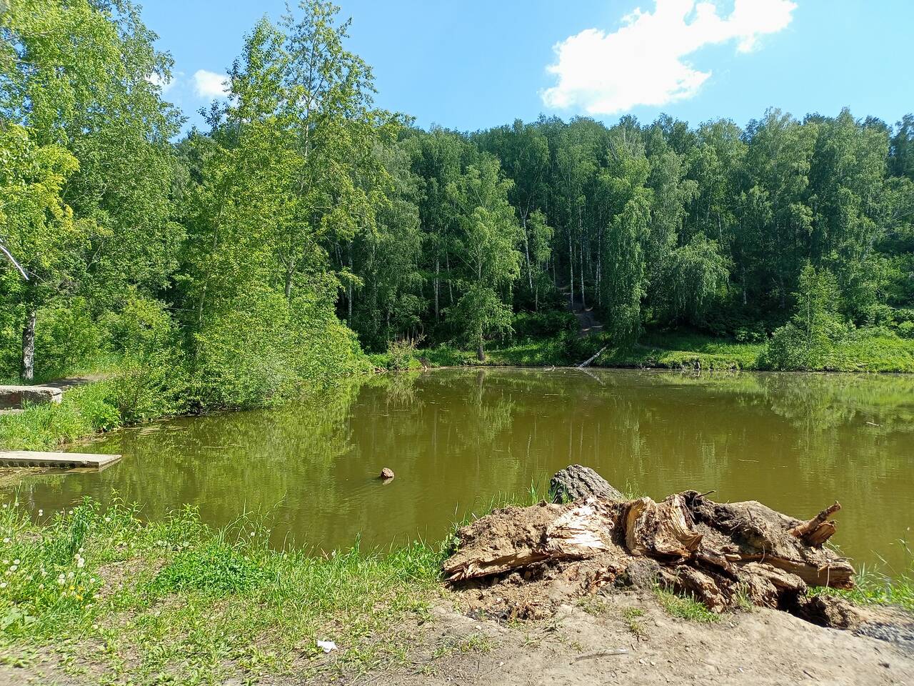 https://upforme.ru/uploads/000a/1b/4d/1634/242856.jpg