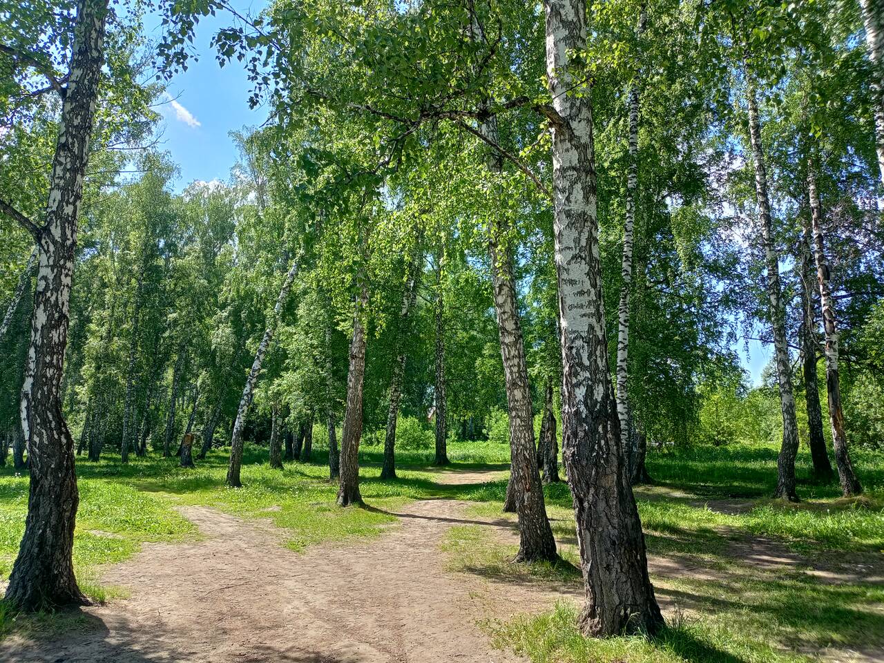 https://upforme.ru/uploads/000a/1b/4d/1634/687358.jpg