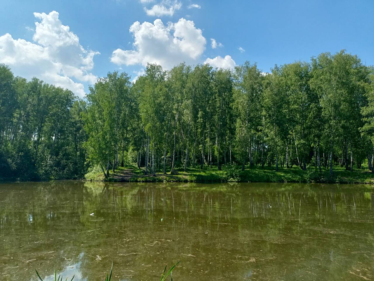 https://upforme.ru/uploads/000a/1b/4d/1634/839214.jpg