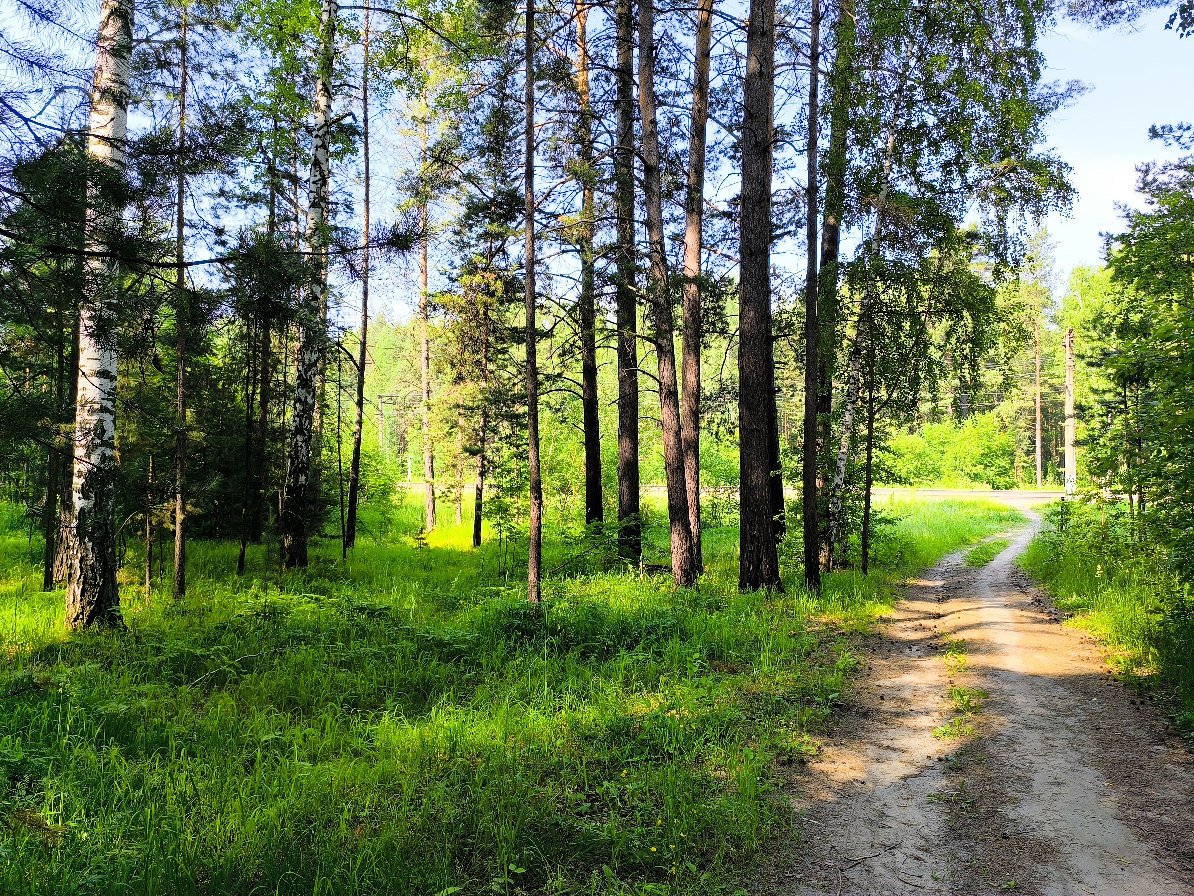 https://upforme.ru/uploads/000a/1b/4d/2045/942994.jpg